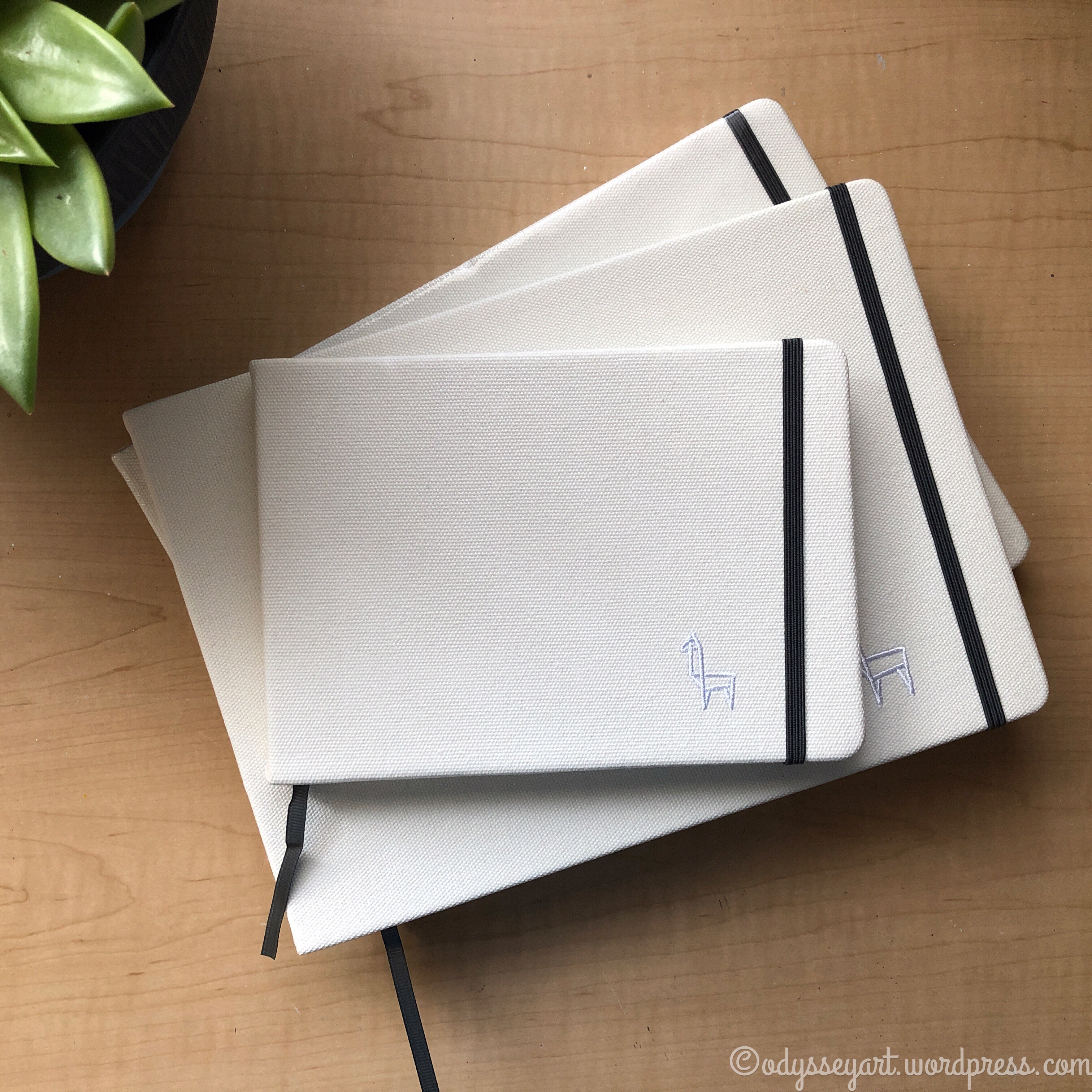 Etchr 100% Cotton Watercolor Sketchbook Review – Odyssey Art